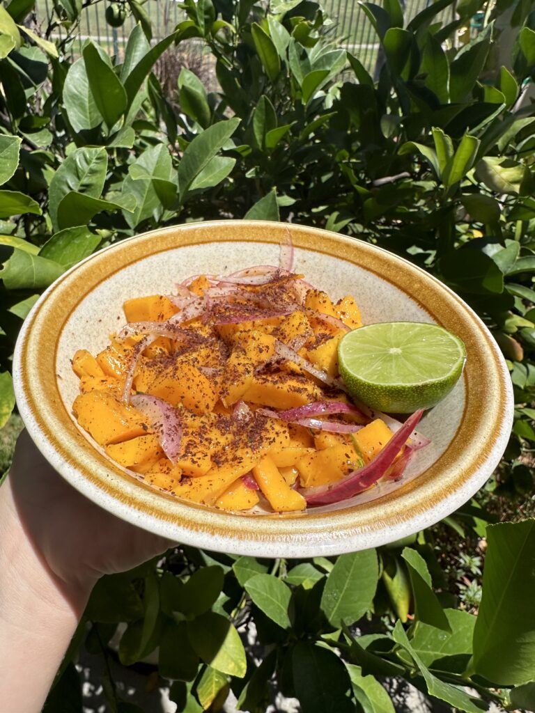 Mango Salad (Spicy Tangy Goodness!)