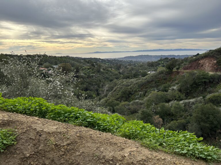 Santa Barbara Photo Diaries: Inspiration Hike and Cozy Books