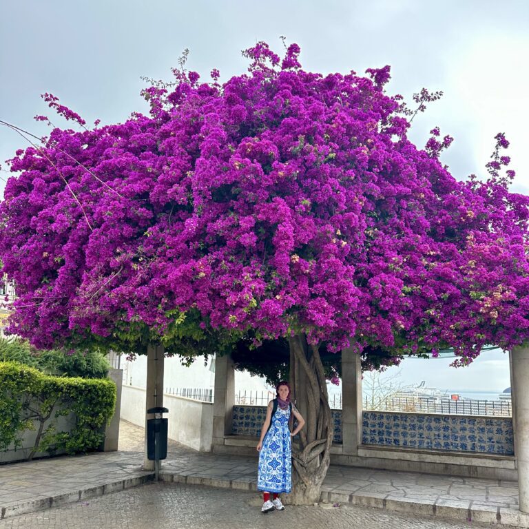Portugal Day 2: Lisbon! Ginja, Rua Augusta, and Belem