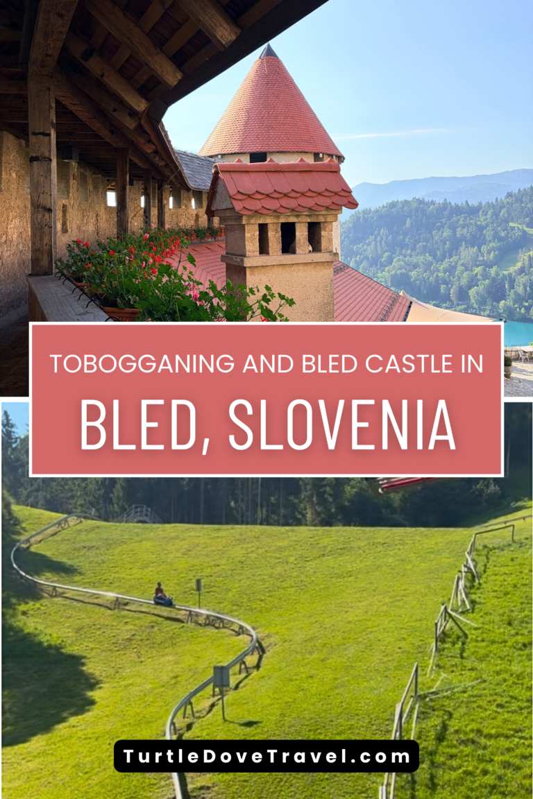 Slovenia Day Five: Tobogganing, Bled Castle, a Trials by a Witch